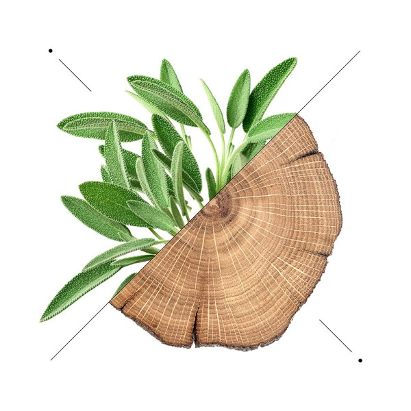 Set de parfum pour homme m041