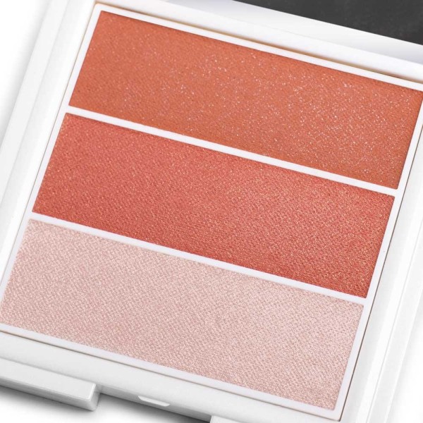 Palette de blush en poudre 3 en1