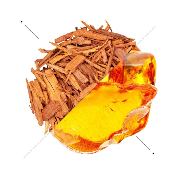 Woman perfume set w183