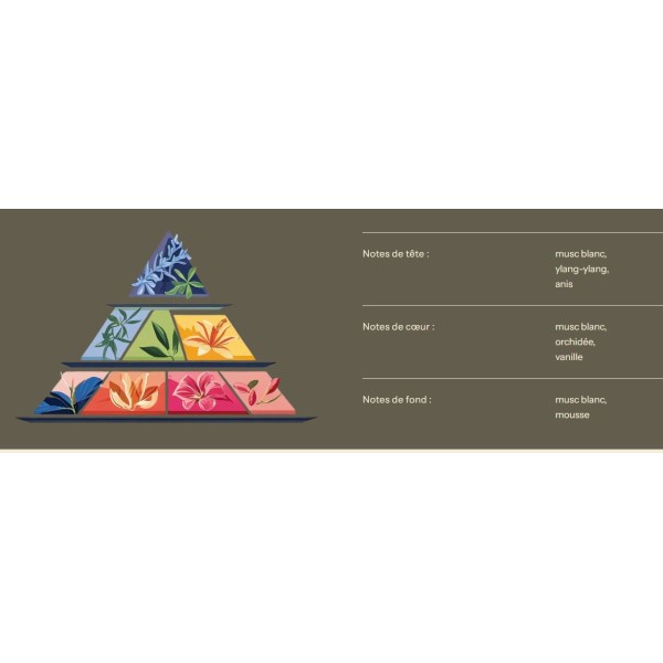 Fondants parfumés - Parfum de Grasse - Musc Blanc