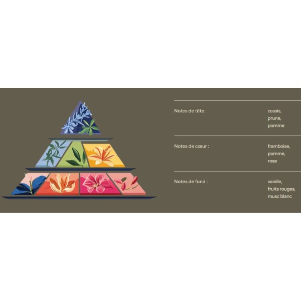 Fondants parfumés - Parfum de Grasse - Pomme d'amour