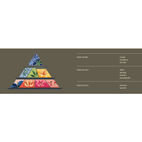 Fondants parfumés - Parfum de Grasse - Cannelle Orange