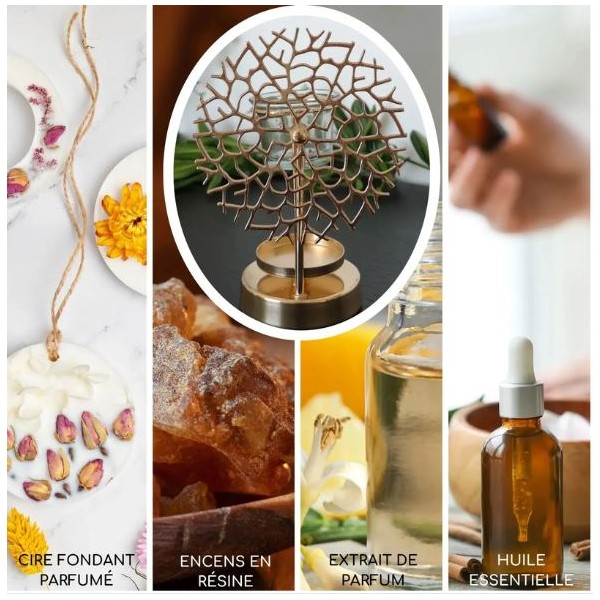 Brûle parfum - Corail