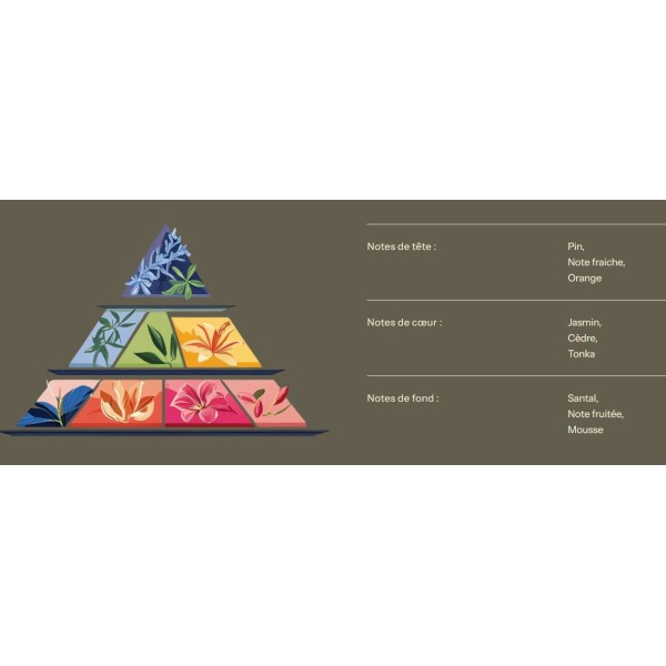 Fondant Lithothérapie - Aventurine - 40 G