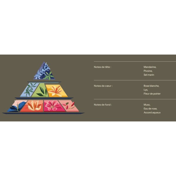 Fondant Lithothérapie - Aigue-Marine - 40 G