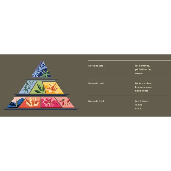 Bougie au parfum de Grasse - Orchidée noire - 200ml