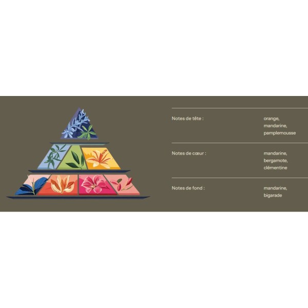 Bougie au parfum de Grasse - Clémentine - 200ml