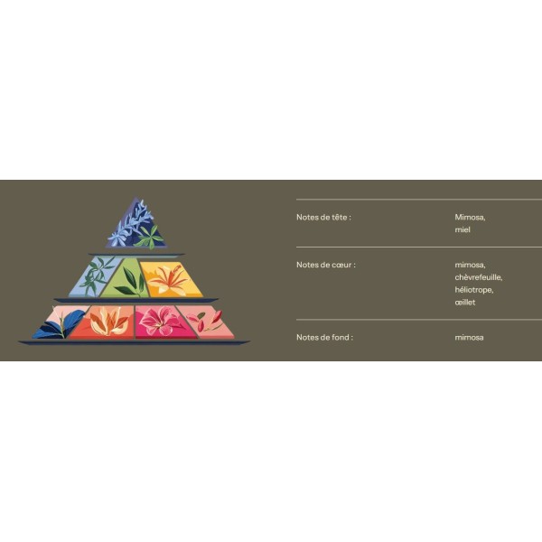 Bougie au parfum de Grasse - Mimosa - 200ml
