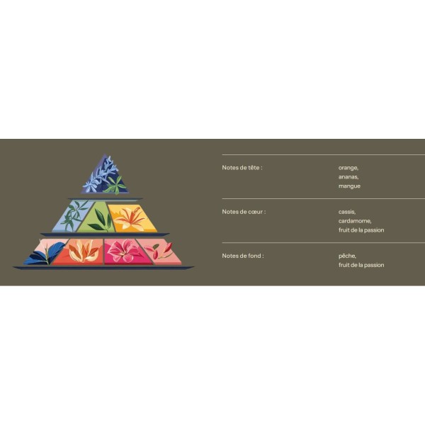 Bougie au parfum de Grasse - Fruits de la Passion - 200ml