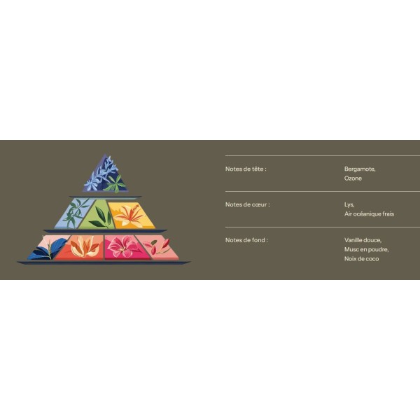 Bougie de Luxe - Plage paradisiaque - 300ml