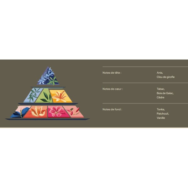 Bougie Astrologie - Sagittaire - 200ml