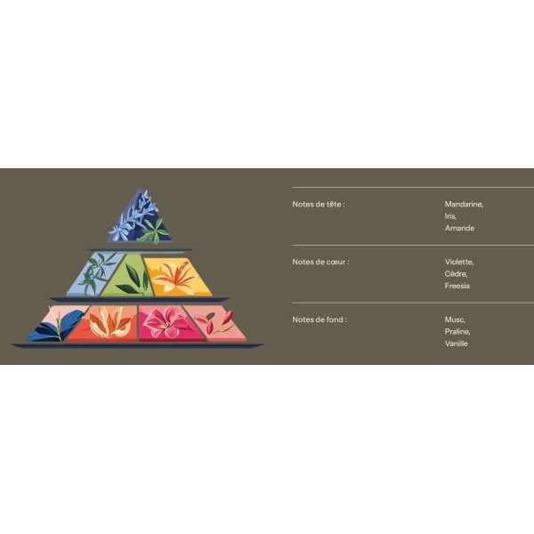 Bougie Lithothérapie - Améthyste - 200 ML