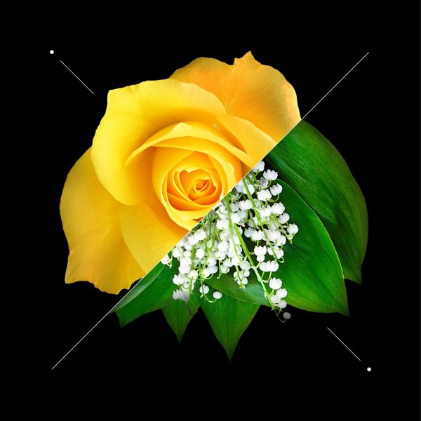 Women perfume set w188 + 10ml perfume