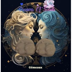 Fondant  Astro Gémeaux