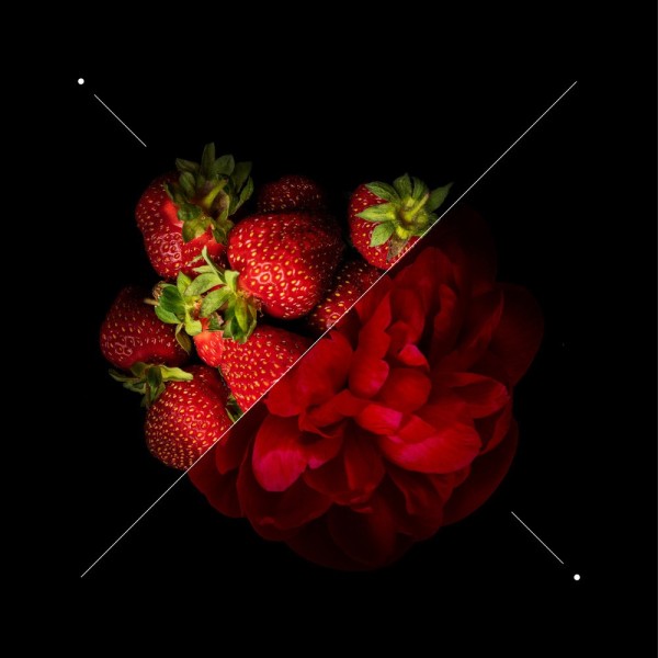 Women perfume set w191 + 10ml perfume